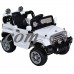 Costway 12V MP3 Kids Ride On Truck Jeep Car RC Remote Control w/ LED Lights Music   